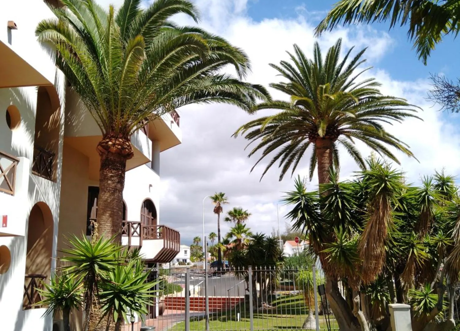 Forest Flat - Big Heated Pool, Terrace, Tv Channels, Golf Courses 0*, San Miguel de Abona
